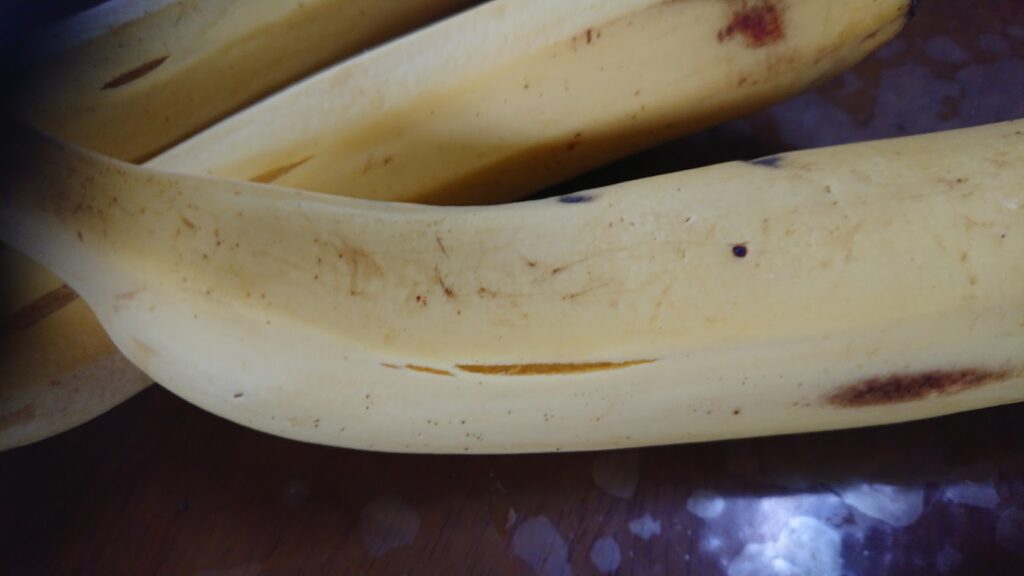 バナナの割れ確認